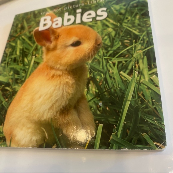 Bundle of 7 Baby Toddler Animal Books - Picture 2 of 14
